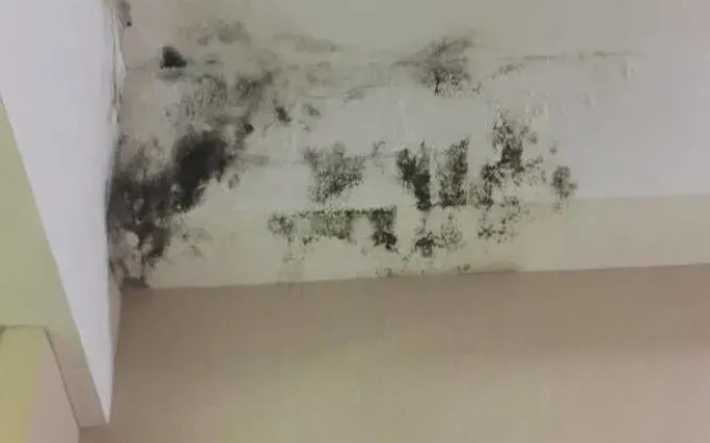 Wanjia Lakefront Hotel