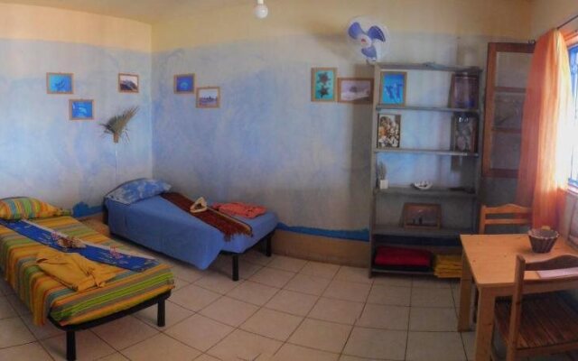 Tortuga B&B