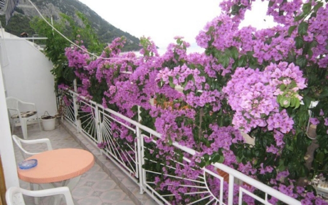 Apartment Graci - 20 m from pebble beach: A1 Gradac, Riviera Makarska