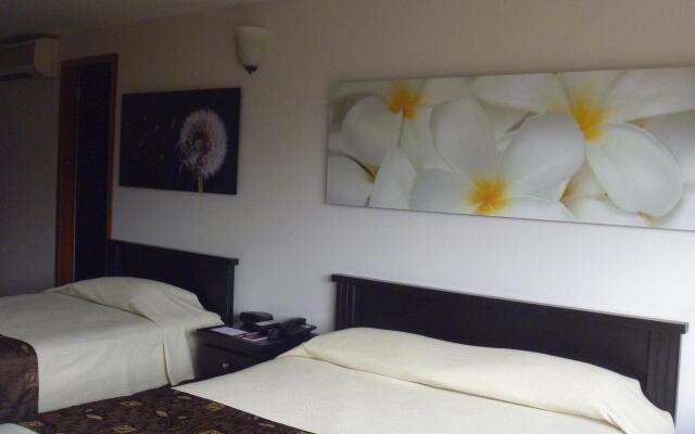 Selina Medellin Hotel