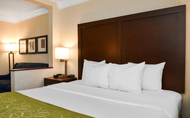 Comfort Suites Downtown Carlisle
