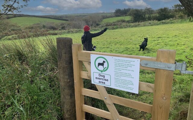 St. Tinney Farm