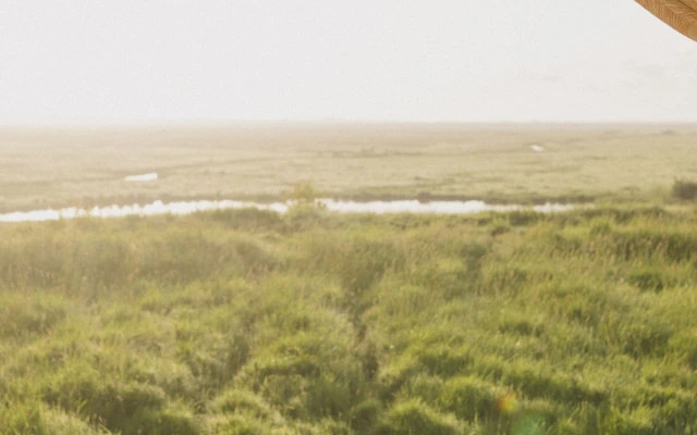 Elmley Nature Reserve