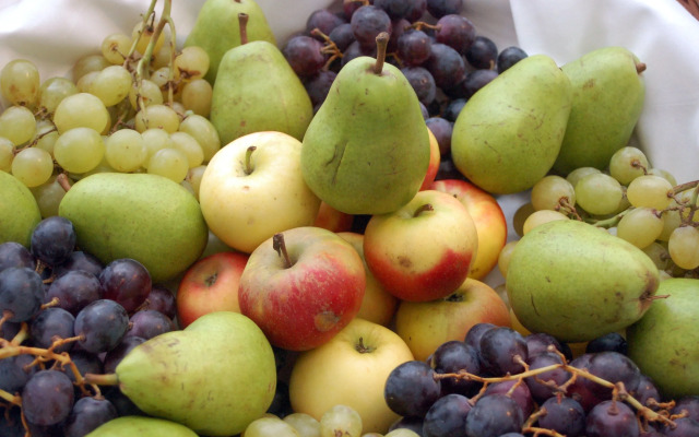 Stiftsberg Bildungs und Freizeitzentrum