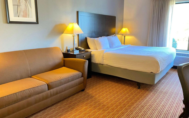 Wingate by Wyndham State Arena Raleigh/Cary