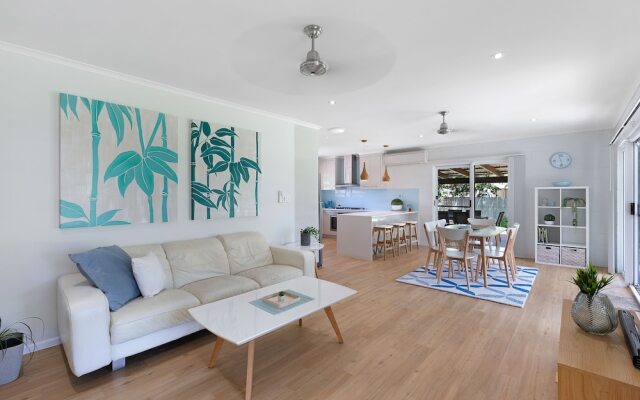 Whitsunday Palms