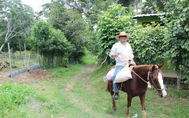 Hostal Mi Castillo