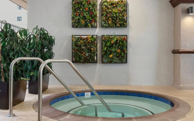 Peacock Suites