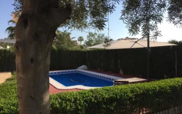 Mil Palmeras