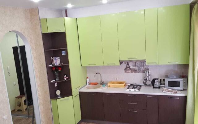 Apartment on Kirova