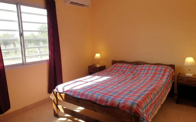 DON FRANCISCO Cabaña Boutique