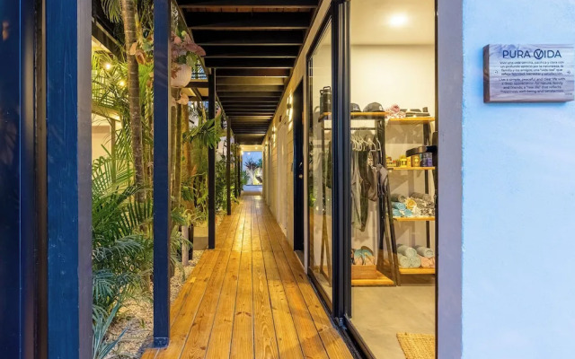 Ventura Santa Teresa