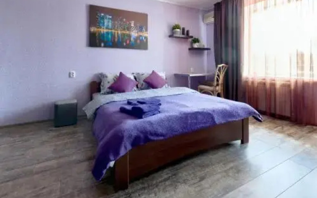 Shovkovychna 48 Apartment