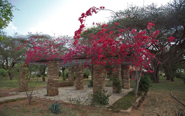 Ashnil Aruba Lodge