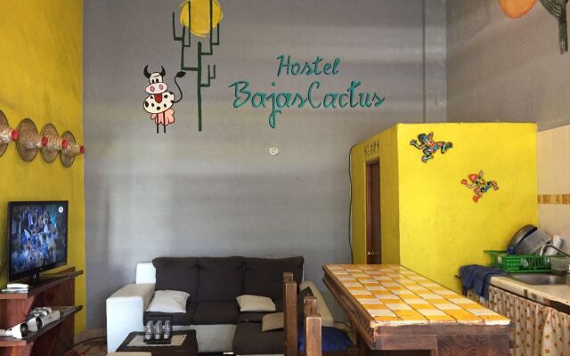 Baja's Cactus Hostel