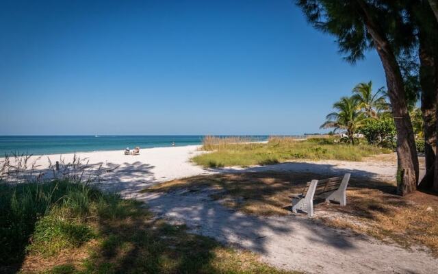 Palm Cay 3