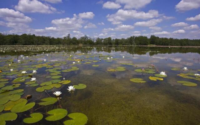 Maison Mézières-en-Brenne, 2 pièces, 2 personnes - FR-1-591-229