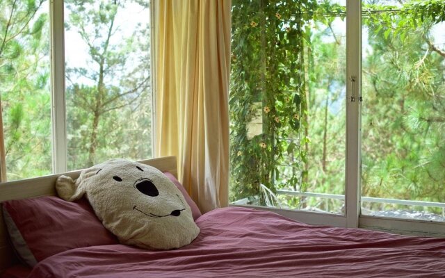 Pine Hill Homestay Dalat