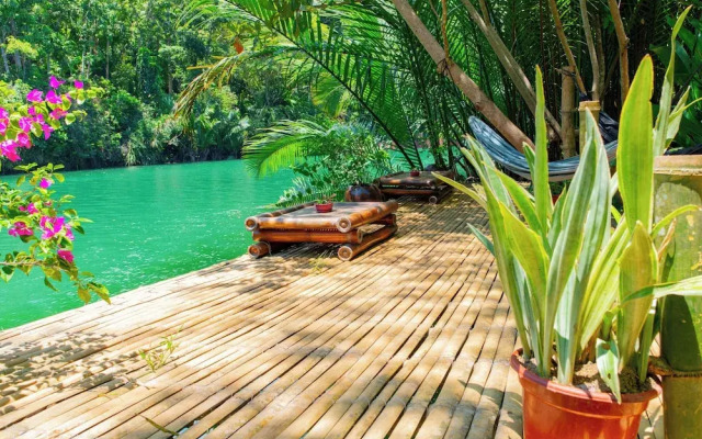 Water To Forest Ecolodge