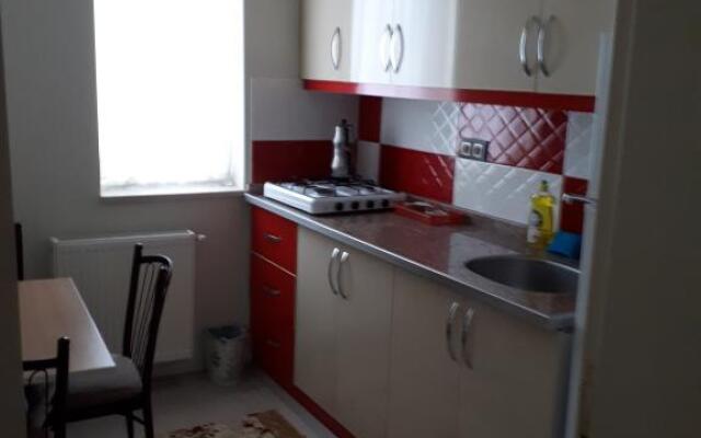 Dirilis Banarya Pansiyon