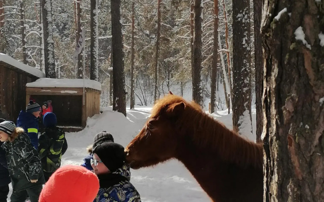 Осетровский пруд