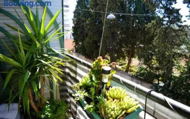 Spacious Apartment Center