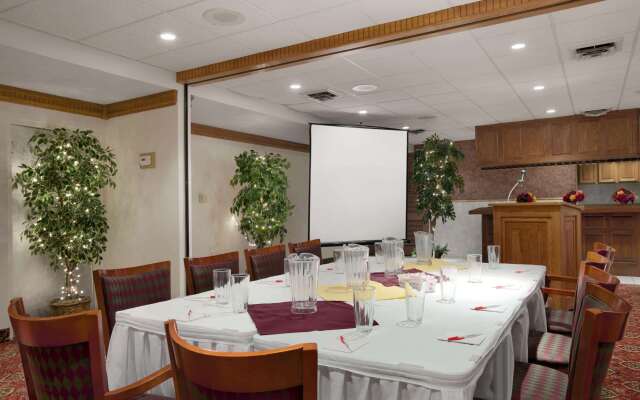 Ramada by Wyndham Saginaw Hotel & Suites