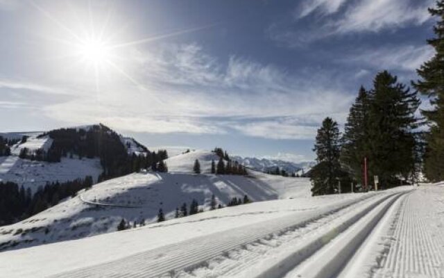 Hotel Rigi First