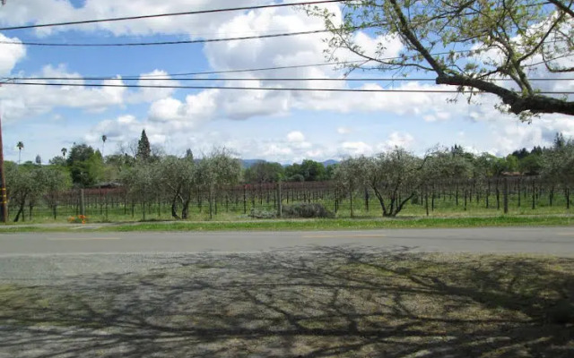 Judys Bed and Breakfast