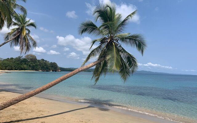 cabinas Manzanillo caribe