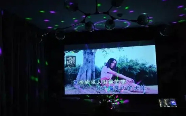 Diqu Manwu Homestay (Shanghai International Tourism Resort Branch)