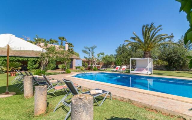 Can Picafort - 232562