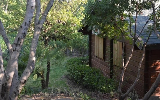 Bungalows Los Pedregales