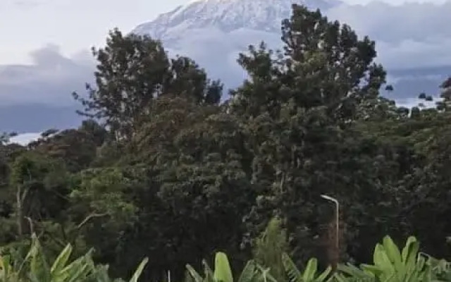 Tulivu Escape