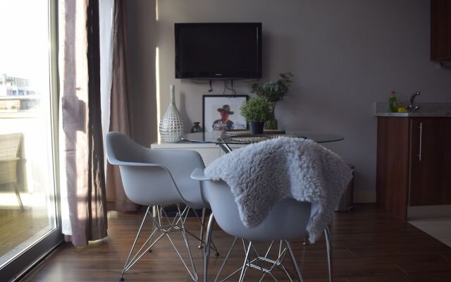 1 Bedroom Apartment With Balcony In Dublin