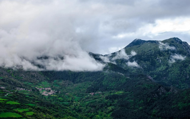 Terralta