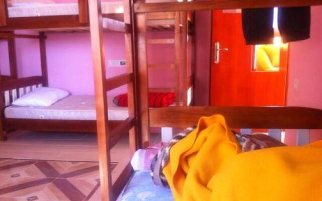 Dolphin Hostel
