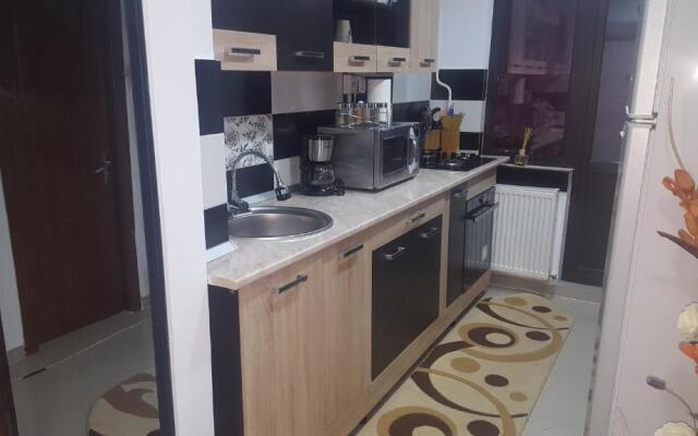 Apartament Cosmin Strada Rozelor Etaj 4