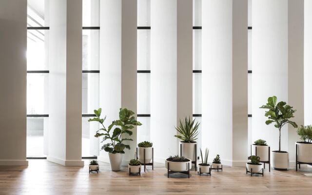 Kimpton Everly Hotel Hollywood by IHG