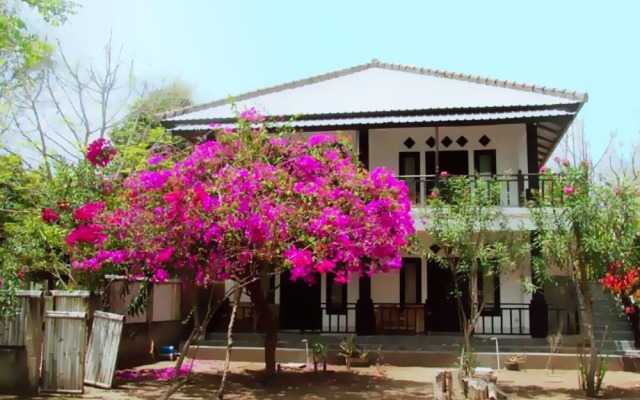 The Rabbit Tree - Hostel