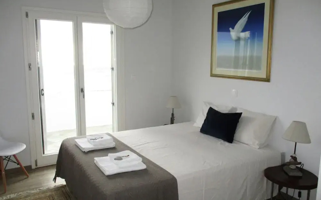 Comfortable Villa Near Sea in Andros