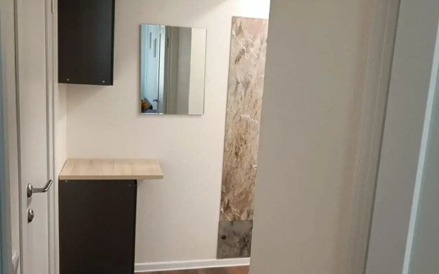 Апартаменты на дороге Муринская