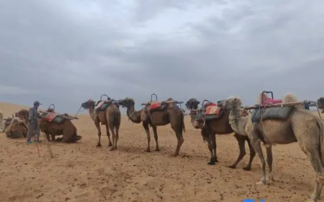Chenxing Yesu Desert Stargazing Camping Hotel – Beach – Zhongwei