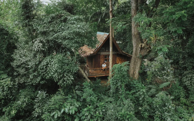 Our Jungle House