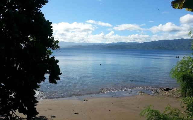 Gecko Lodge Fiji Private Hotel