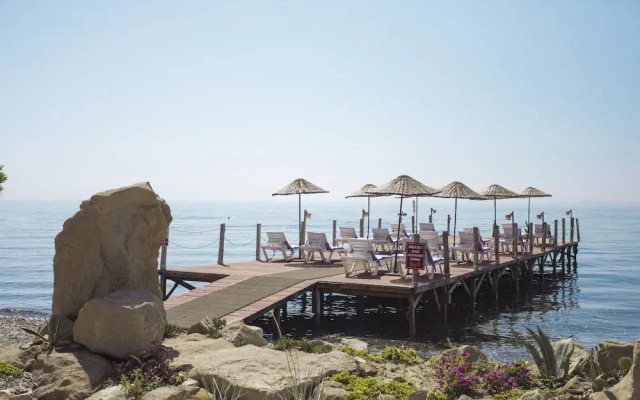 Antique Beach and Bungalow