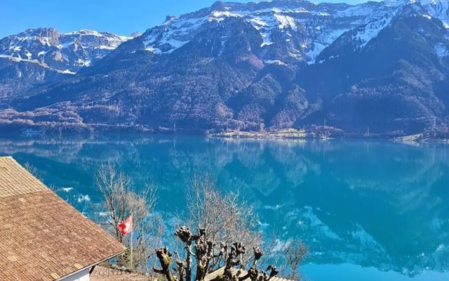 The Hotel Alpina