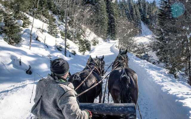 Berg Chalet Breitenberg