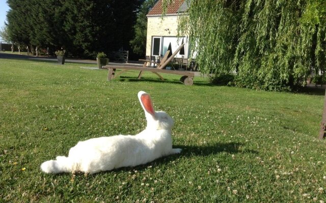 B&B Het Schaliënhof