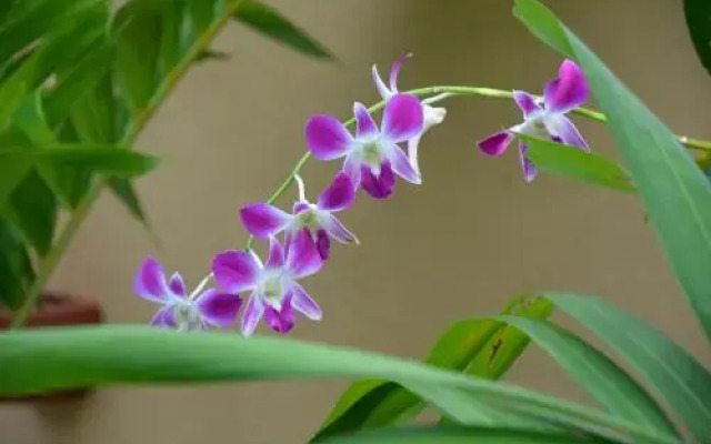 Othashy Airport Hotel